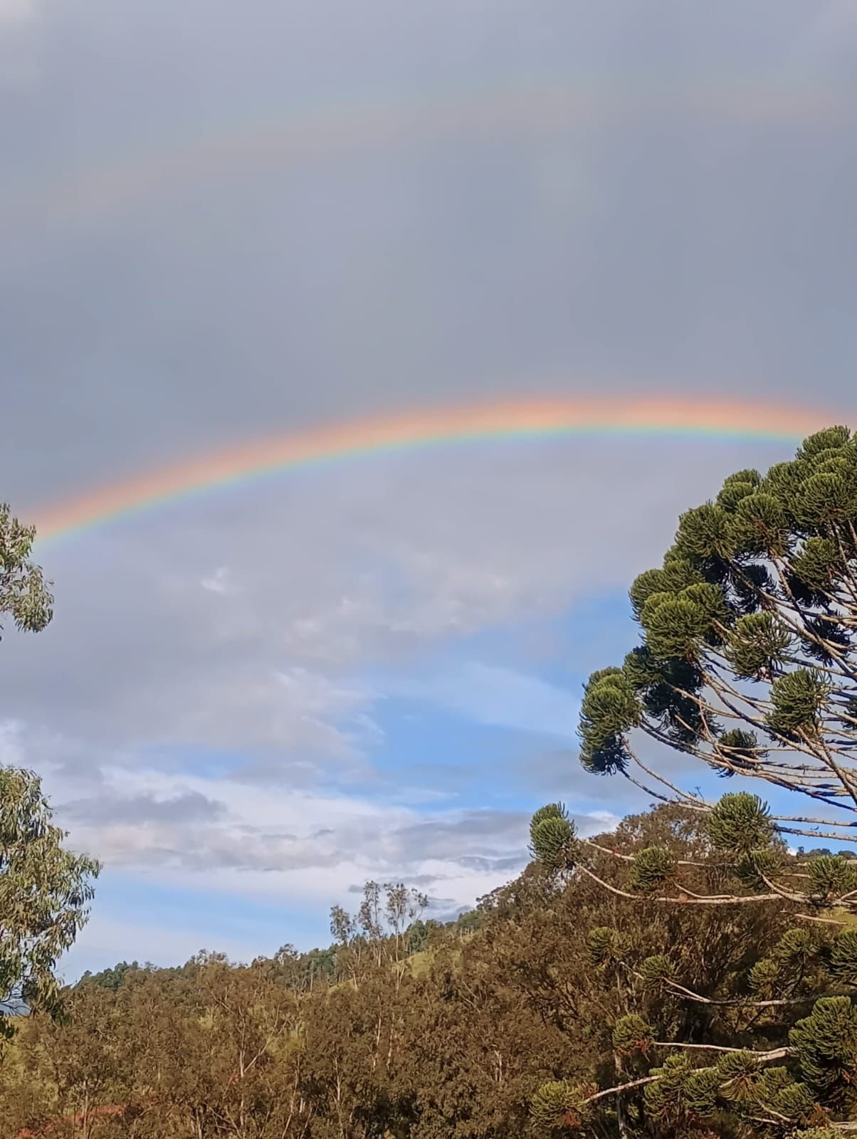 Arco-íris sobre a serra e as araucárias