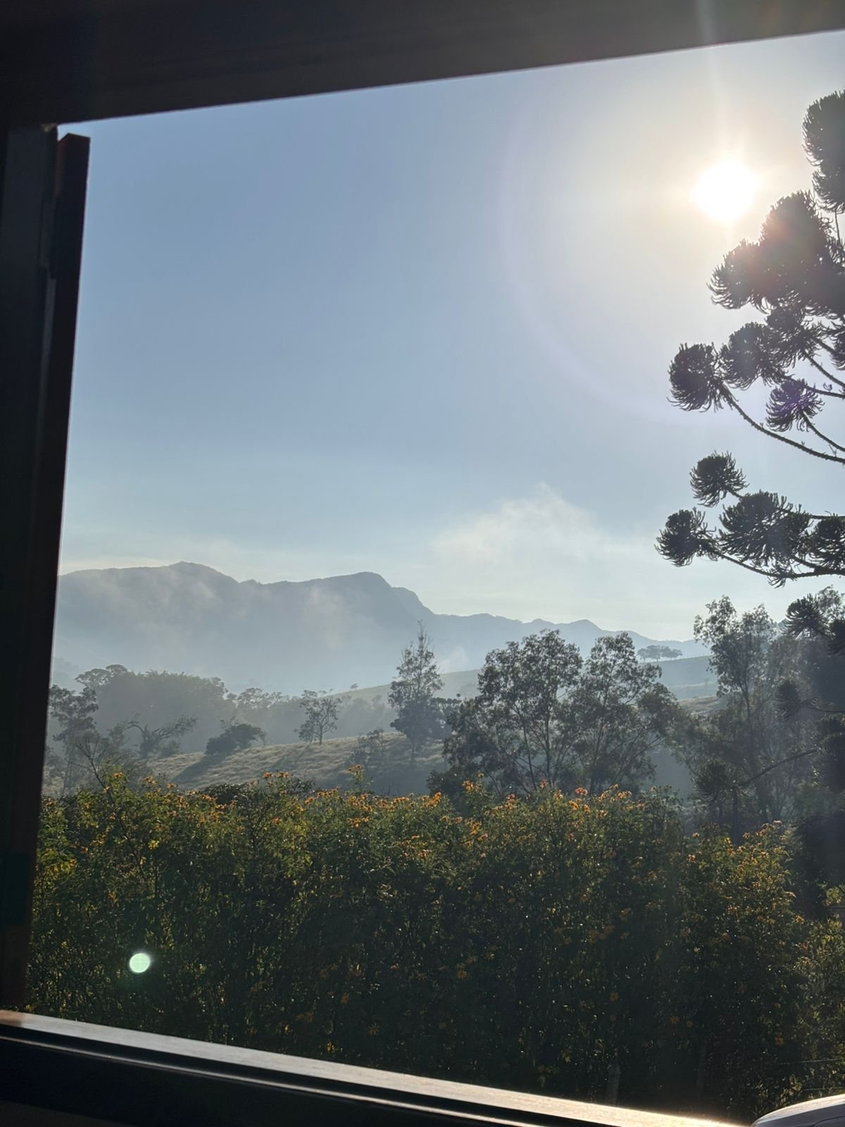 Névoa subindo o vale, vista da Suíte Embaúba
