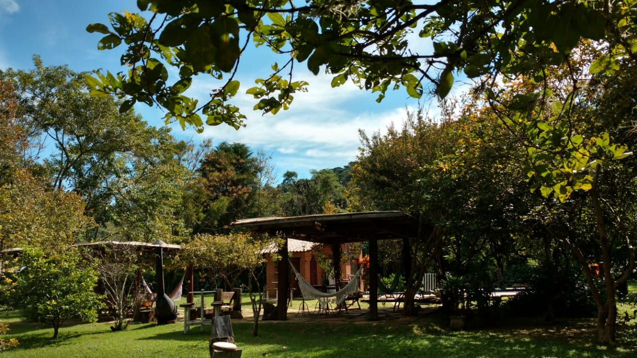 Redário e piscina sob as árvores num dia de sol