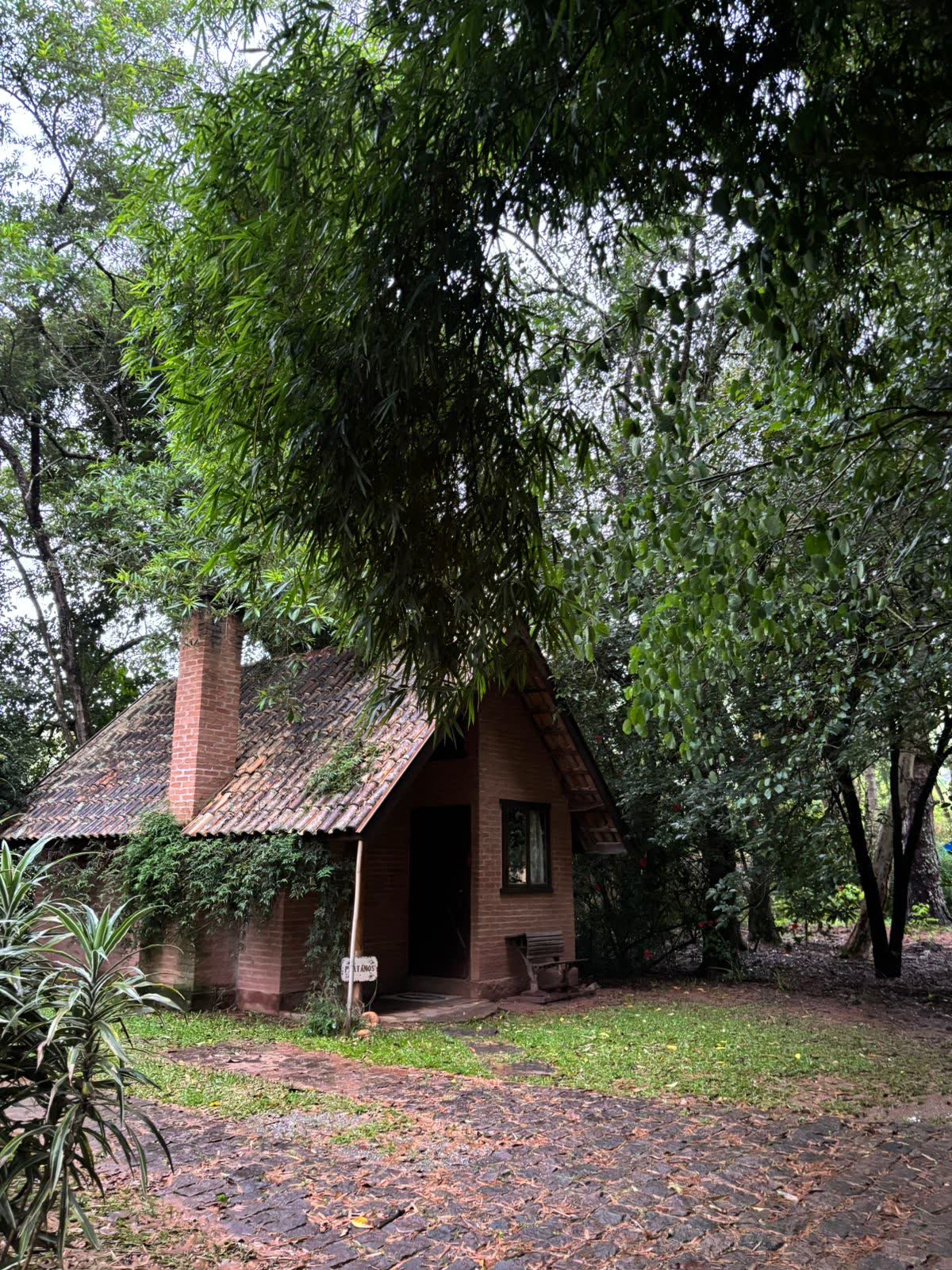Chalé Platanus: fachada entre as árvores